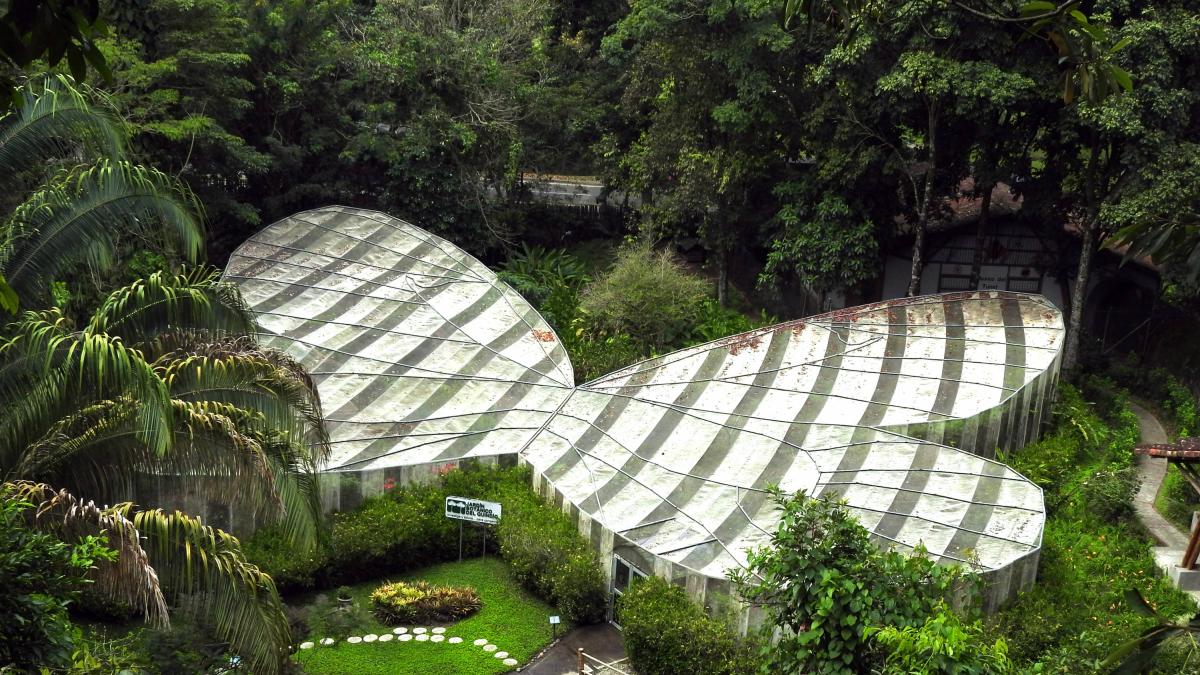Jardín Botánico del Quindío